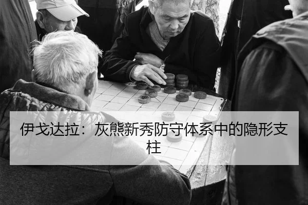 伊戈达拉:灰熊新秀防守体系中的隐形支柱