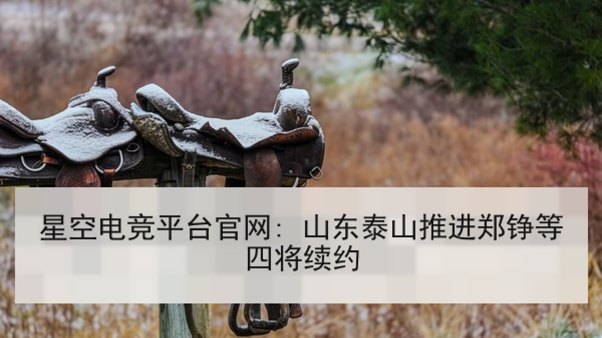 星空电竞平台官网: 山东泰山推进郑铮等四将续约 星空电竞平台官网: 山东泰山推进郑铮等四将续约