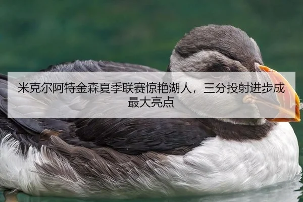 米克尔阿特金森夏季联赛惊艳湖人，三分投射进步成最大亮点
