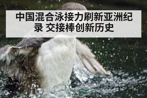 中国混合泳接力刷新亚洲纪录 交接棒创新历史