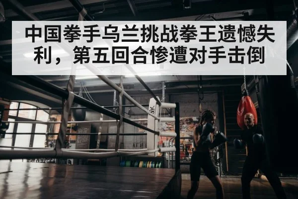 中国拳手乌兰挑战拳王遗憾失利,第五回合惨遭对手击倒
