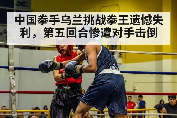 boxing match action